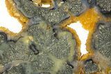 Colorful Polished Marcasite Agate Slab - Indonesia #334897-1